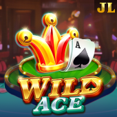 Wild Ace Playtime Game slot icon